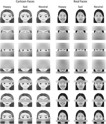 The Influence of Key Facial Features on Recognition of Emotion in Cartoon Faces